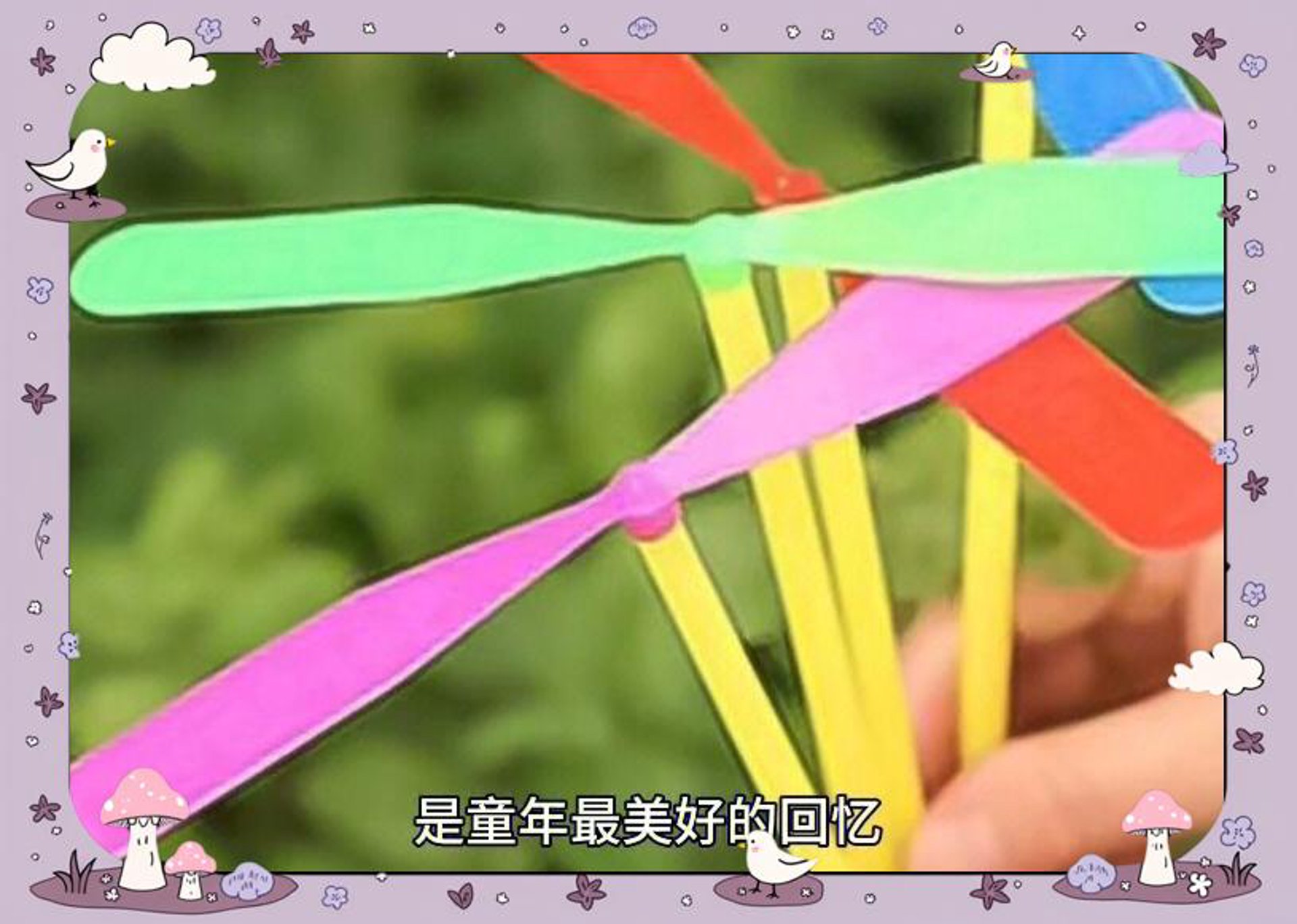 探寻竹蜻蜓的飞行奥秘